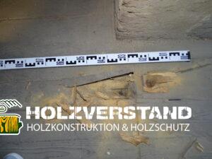 Holzschutzgutachten Dresden