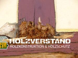 Holzschutzgutachten Dresden