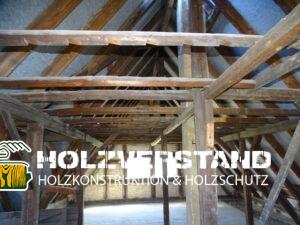 Holzschutzgutachten Dresden