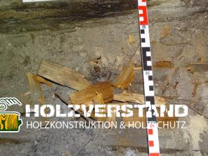 Holzschutzgutachten Dachboden Berlin