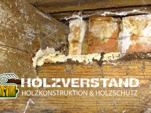 Holzschutzgutachten