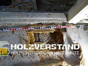 Probeöffnung durch Holzschutzgutachter Berlin